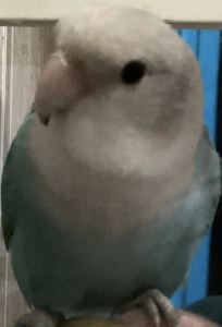 sunny的个人空间