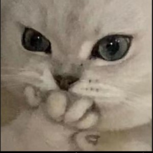 · 已經被愛/.❣️的钢琴谱