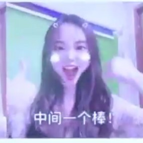 一只bird（孤勇的钢琴谱