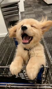 鸭梨山大的个人空间