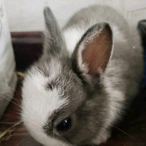 海阔天空的演奏视频