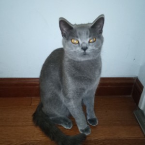 打火机的演奏视频