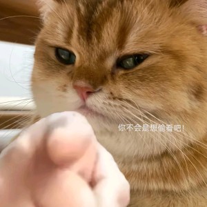137****7755的钢琴谱