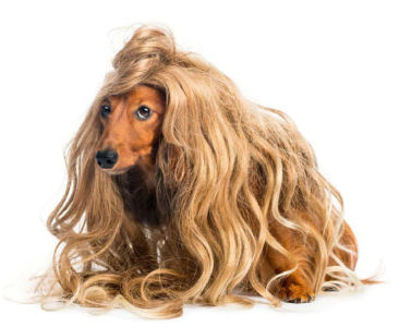 幽默曲的演奏视频