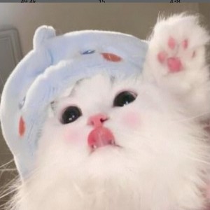 我就是爱偷吃的个人空间