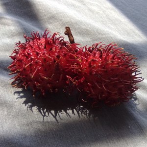 188****9599的钢琴谱