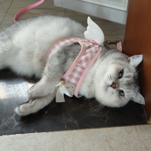 ʚ伤心事ɞ.的个人空间