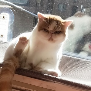 134****6459，好朋友的个人空间