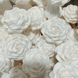 灵安的个人空间