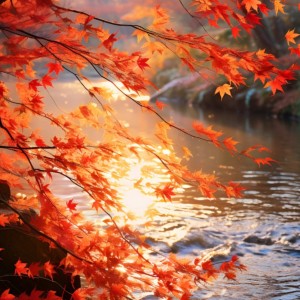 燃烧的火焰-_-的钢琴谱