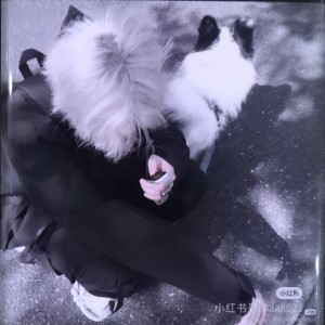 雾隐虚魂（杂厨）的个人空间