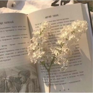 雨爱的演奏视频