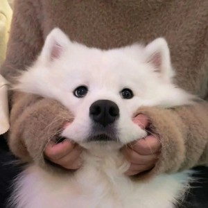 荣本荣的个人空间