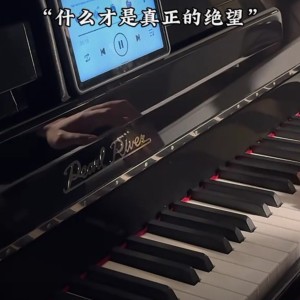 神金砂金的钢琴谱