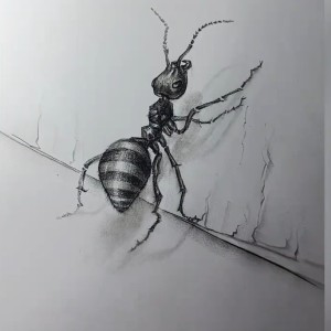 诈骗电话的钢琴谱