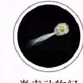 脊索动物的个人空间