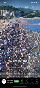 迪奥 布兰度的钢琴谱