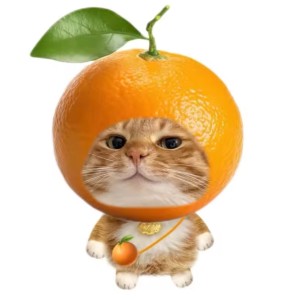 哈橘米的钢琴谱