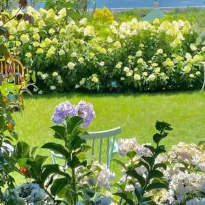 李唯祎的钢琴谱