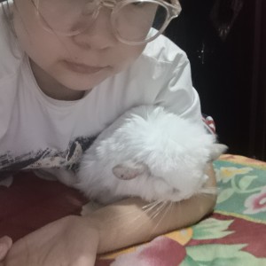 若微乄无聊🌚🌝的钢琴谱