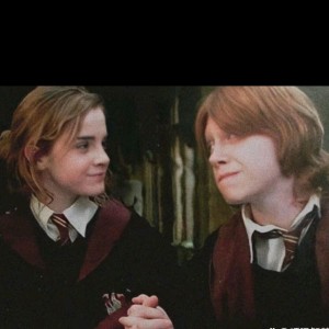 狮院的哈迷的钢琴谱