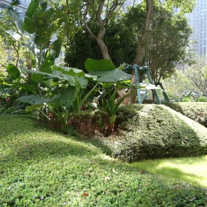 1-7. 著名的勃拉姆斯摇篮曲的演奏视频