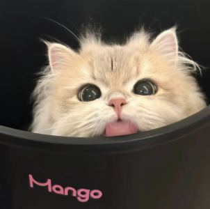 xijin的个人空间