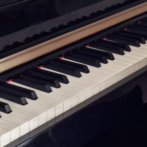 画柴的钢琴家小号的钢琴谱