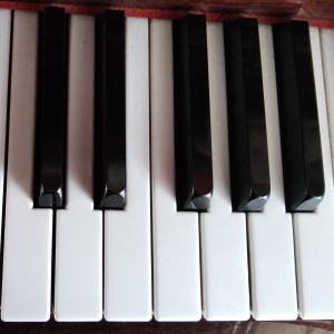 135****5046🎹🌸的钢琴谱