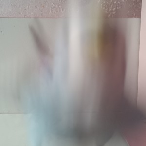 一只小鸟咩的钢琴谱