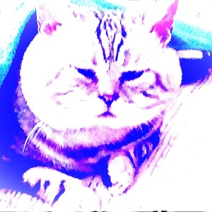 开心欧( ´▽` )的钢琴谱