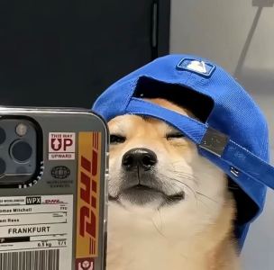 BORING的个人空间