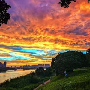 133****6765的钢琴谱