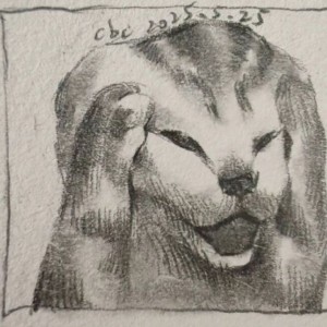 喵儿（喵星人代表）的个人空间