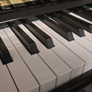 152****8233的个人空间