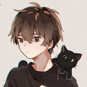 紅蓮華的演奏视频