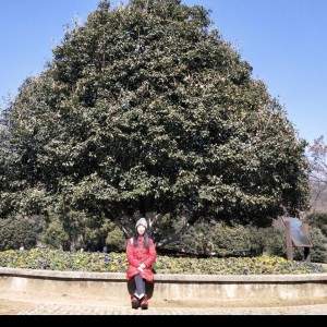 小源儿的钢琴谱