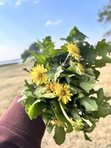 183****6433的钢琴谱