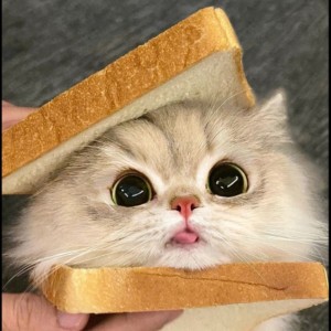 超软小面包的钢琴谱