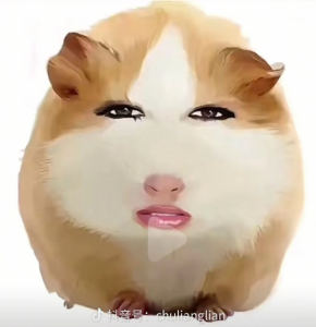 2级A组-练习曲的演奏视频