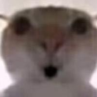 158****8900的钢琴谱