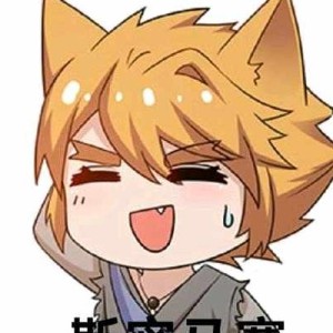 白灵！小九和仙儿跑了！的钢琴谱