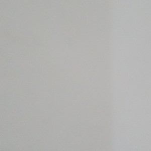 2.蜜蜂的演奏视频