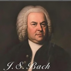 疯狂贝多芬的个人空间