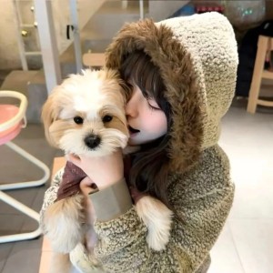 借片 海发呆的钢琴谱