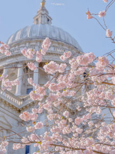 139****8612的个人空间