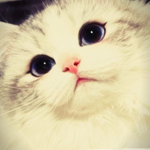 无人巷的风的钢琴谱