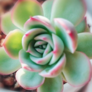 沈阳市第四十六中学一初二学生的个人空间