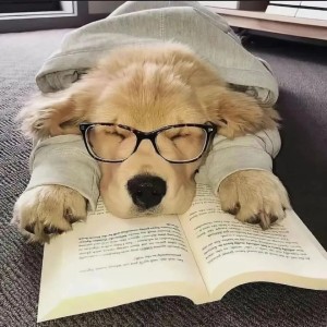 西塔温南sea的钢琴谱