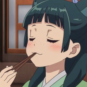 猫猫的个人空间